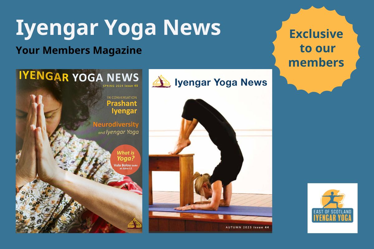 Iyengar Yoga New your members magazine
