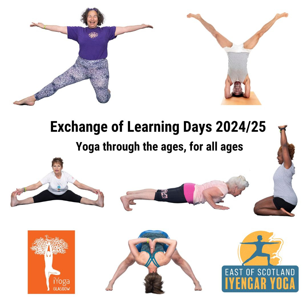 East of Scotland Iyengar Yoga Exchange of Learning Days for Teachers 2024 2025. 